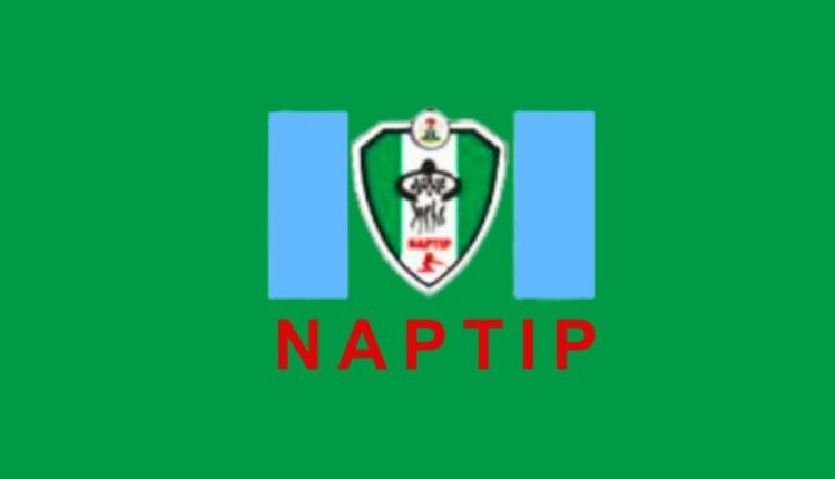 NAPTIP urges stiffer penalties for rape