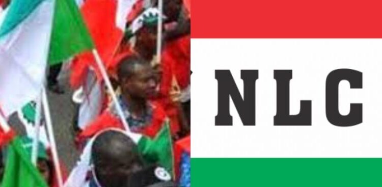 NLC