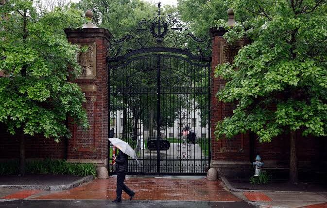 German Minister Condemns U.S. Move to Ban Foreign Students from Harvard