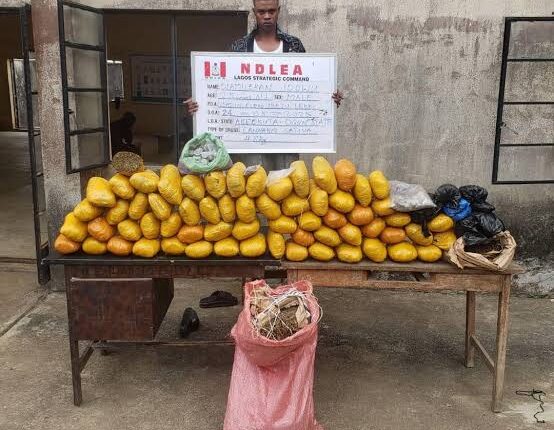 NDLEA arrests British nationals, recovers N6.5 billion drugs in Lagos, Rivers ports
