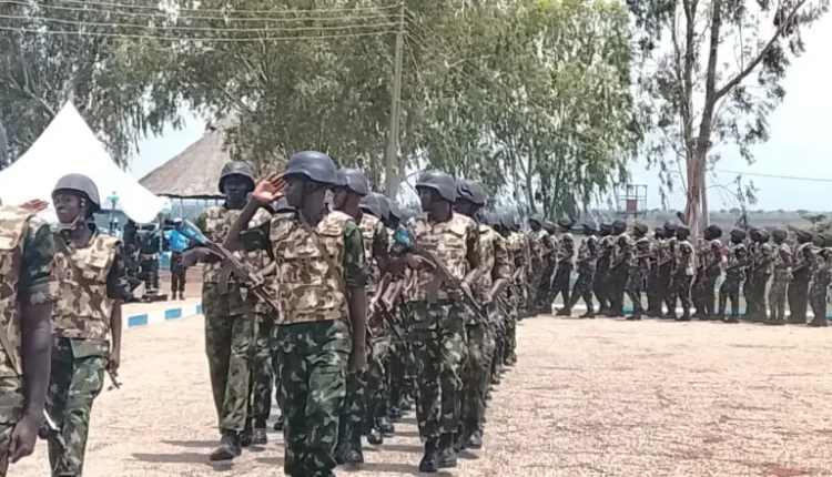 Troops Kill 23 Terrorists, Rescue 26 Victims in Katsina