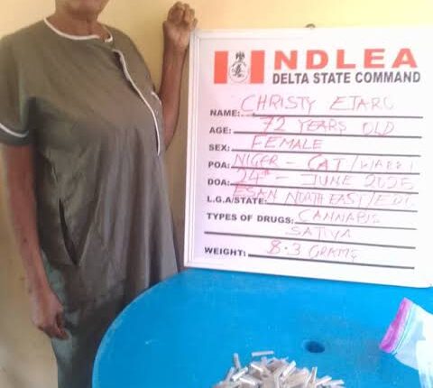 NDLEA Arrests 72-Year-Old Grandma, Others for Drug Trafficking in Delta, Enugu, Kwara