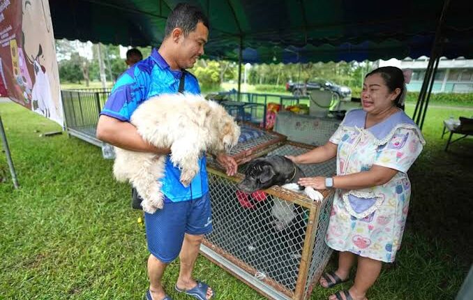 Thailand Sets Up Pet Shelters for Animals Left Behind Amid Border Clashes with Cambodia