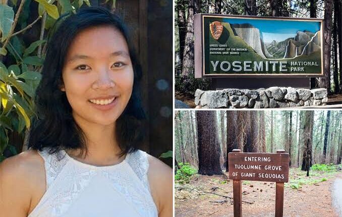 Google Engineer, 29, Killed in Freak Accident After Falling Tree Branch Strikes Her on Yosemite Trail
