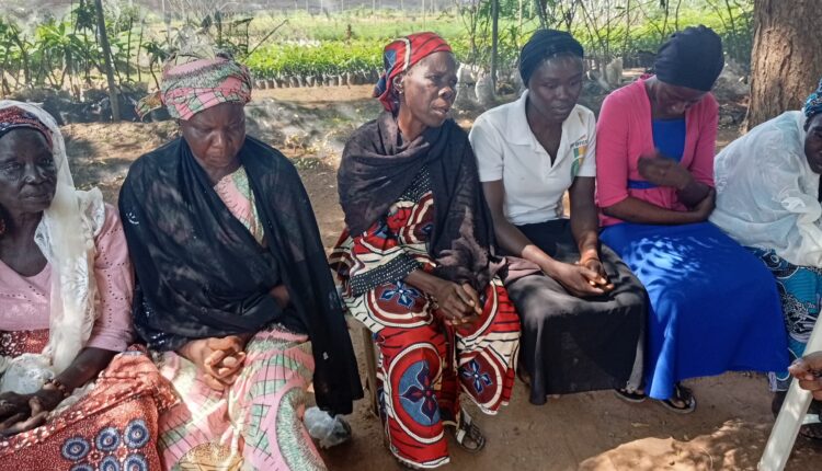 How women in Adamawa boost yield, income through climate-smart agriculture