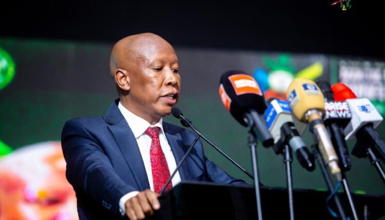 Malema Urges African Unity Against Exploitation