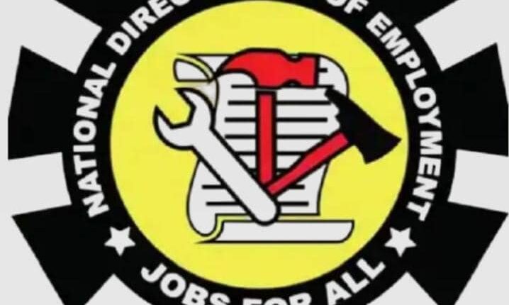 Skill acquisition: NDE organises orientation for 50 youths in Gombe