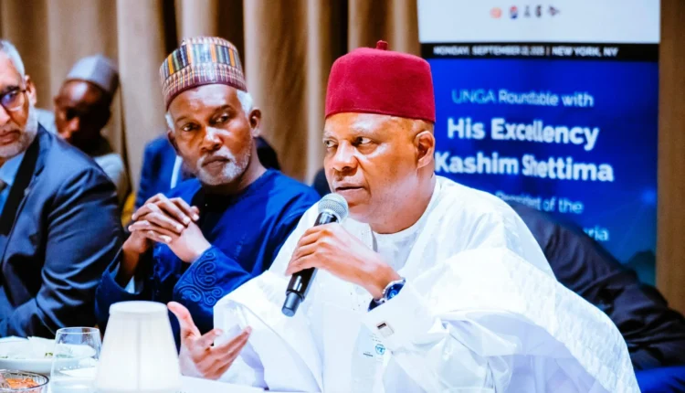 Tinubu Seeks Overhaul of Global Financial System to Safeguard Africa’s Mineral Wealth