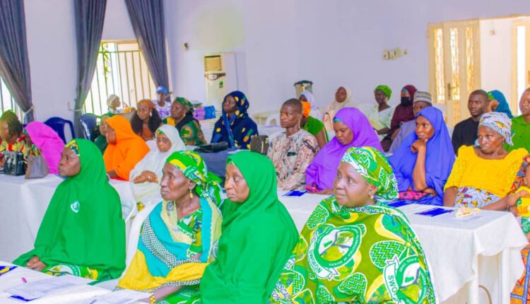Gombe stakeholders laud women farmers’ contributions to food security
