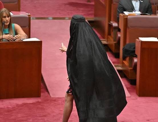 Australian Senator Pauline Hanson Suspended for Wearing Burqa in Parliament Protest