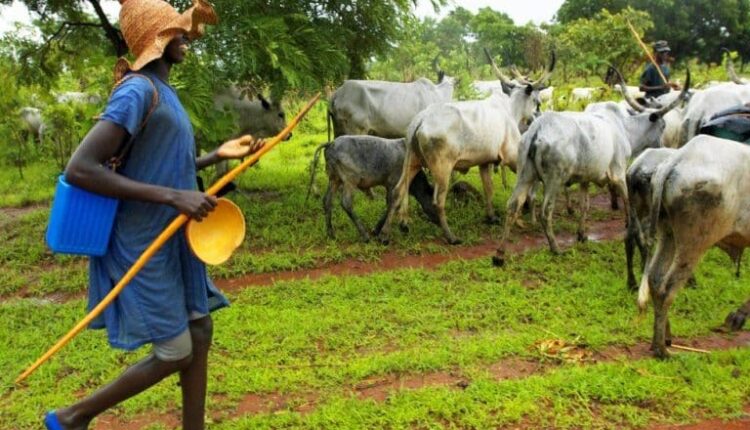 Gunmen Raid Benue Market, Abduct Scores of Women, Set Stalls Ablaze