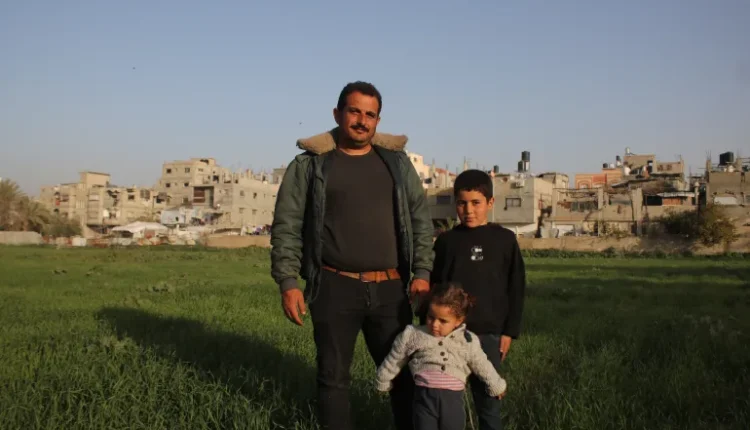 Gaza farmers brave Israeli fire to revive devastated farmlands