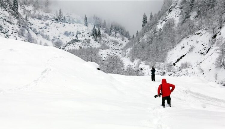 10 Skiers Missing After Avalanche Strikes California’s Sierra Nevada