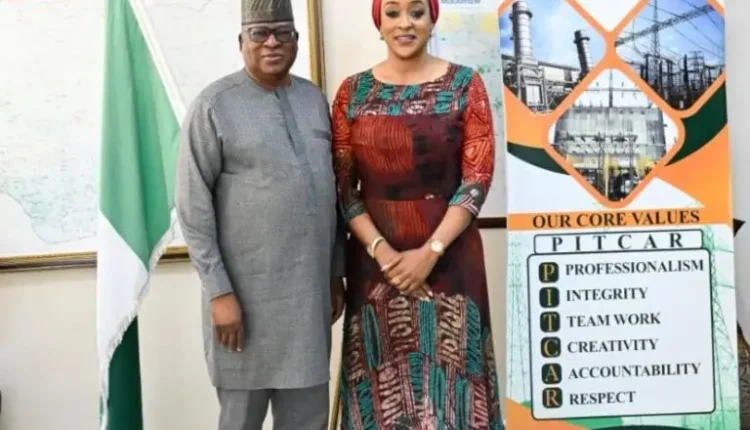 Togo Seeks to Boost Electricity Imports from Nigeria