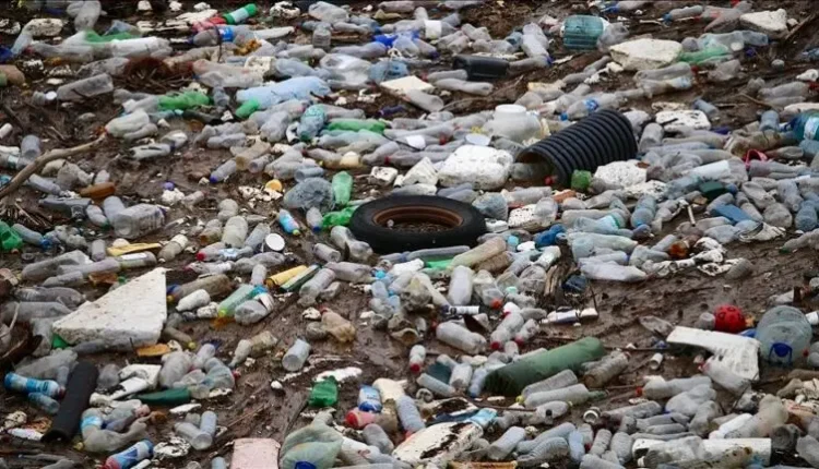 Türkiye Moves to Ban Single-Use Plastics Under Circular Economy Plan