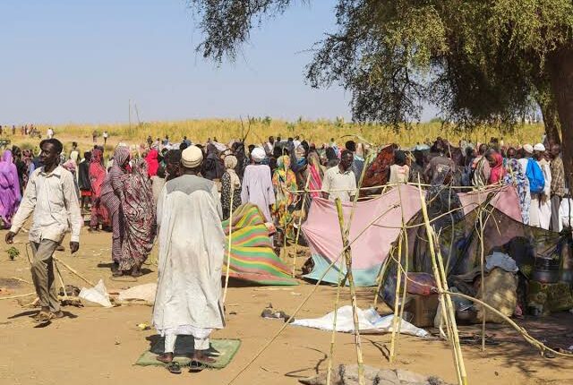 UN condemns wedding attack, killing of 30 civilians in Sudan