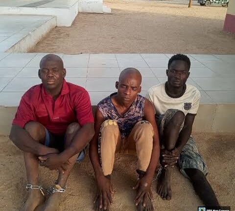 Nigerian troops arrest suspected Boko Haram members in Adamawa, foil planned attacks