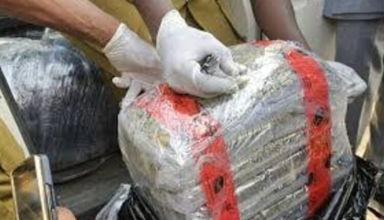 Customs Seize N18.96bn Cannabis Concealed in Imported Vehicles at Lagos Port