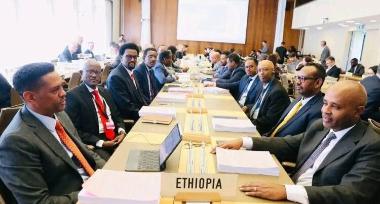 Ethiopia Signals Review of Fuel-Car Import Ban Amid WTO Accession Push