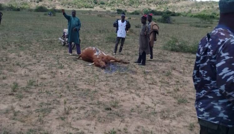 Berom Militia Launch Deadly Attacks on Soldiers in Barkin Ladi as Troops Repel Separate Ambush in Jos South