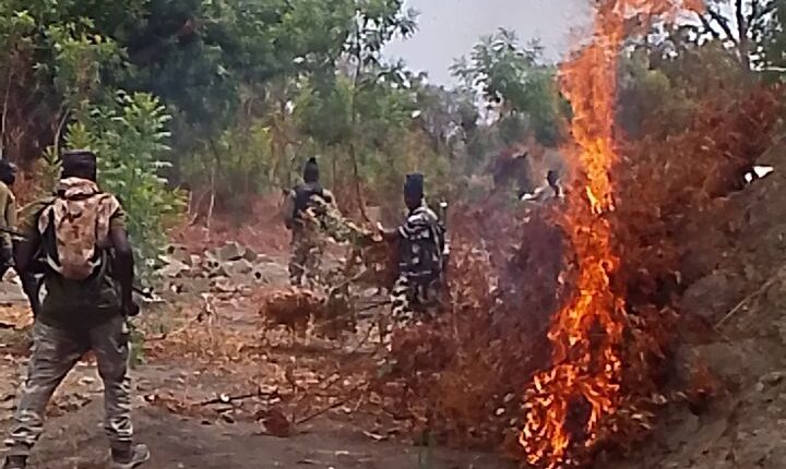 Nigerian Military Eliminates Two Terrorists During Operation in Borno State