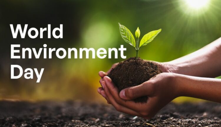 World Environment Day: NGO urges urgent action to protect nature