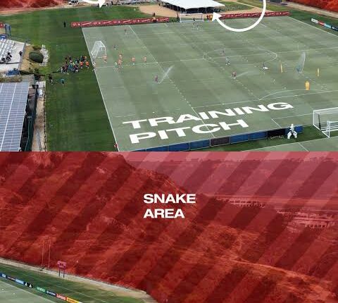 Switzerland Warns Players About Snake-Prone Zone at 2026 World Cup Training Base in US