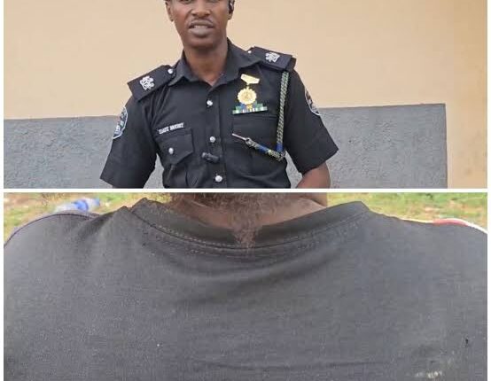 Delta Woman Arrested for Allegedly Abducting Two Infants After Losing Her Twins