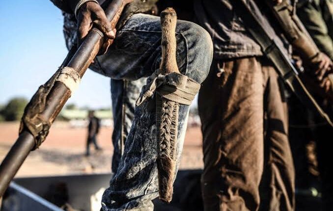 Boko Haram Trapped in Oyo Forest as Troops Intensify Rescue of Abducted Pupils, Teachers