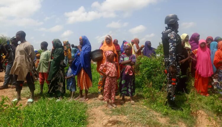 Police, Troops Rescue Kidnapped INEC Staff, Repel Bandits, Recover Hundreds of Rustled Cattle in Zamfara
