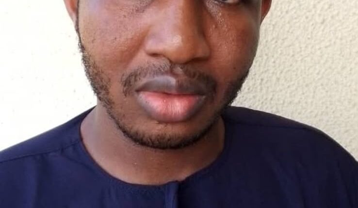 Terrorism: Man Arrested by DSS Bags 20-Year Jail Term for Shielding Notorious Bandit
