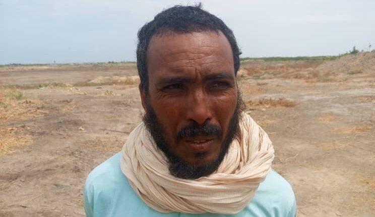 Troops Arrest Foreign ISIS Terrorists After Failed Borno Attack