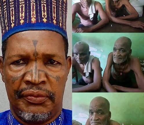 MACBAN Denies Link to Otukpo Killings, Urges Public to Await Police Investigation