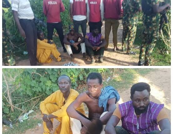 Army, NDLEA Arrest 3 Suspected Drug Suppliers Linked to Terrorists in Katsina