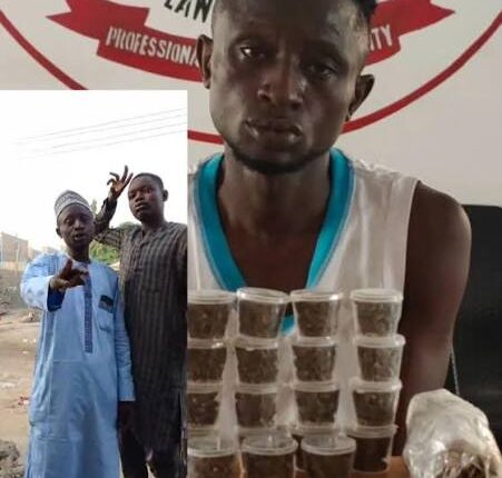 Kano Court Jails Man Seven Years for Advertising Cannabis on Social Media