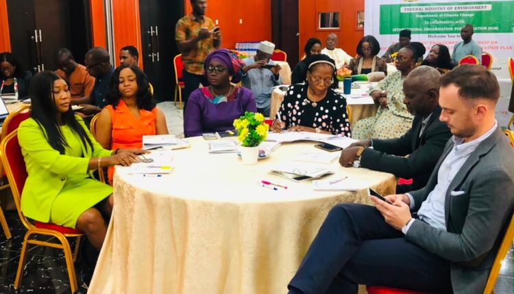 Nigeria Seeks Private Investment, Partnerships to Close Climate Adaptation Gap