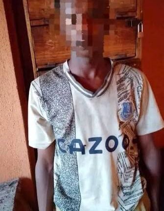 Police Foil Attempted Abduction of 6-Year-Old Girl, Arrest 18-Year-Old Suspect in Adamawa