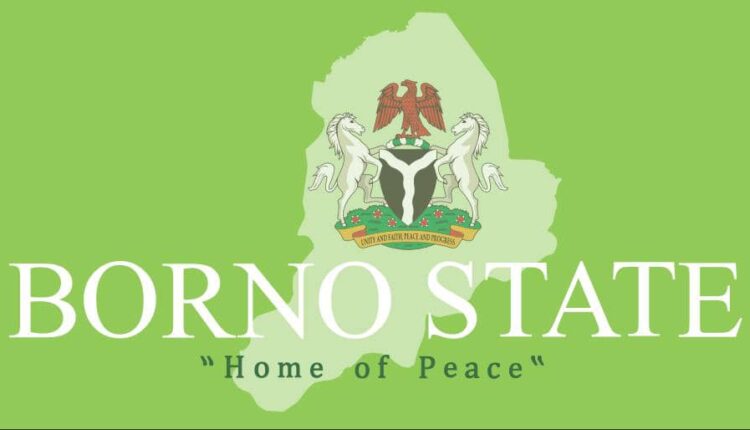 NGO empowers 1,000 Borno widows