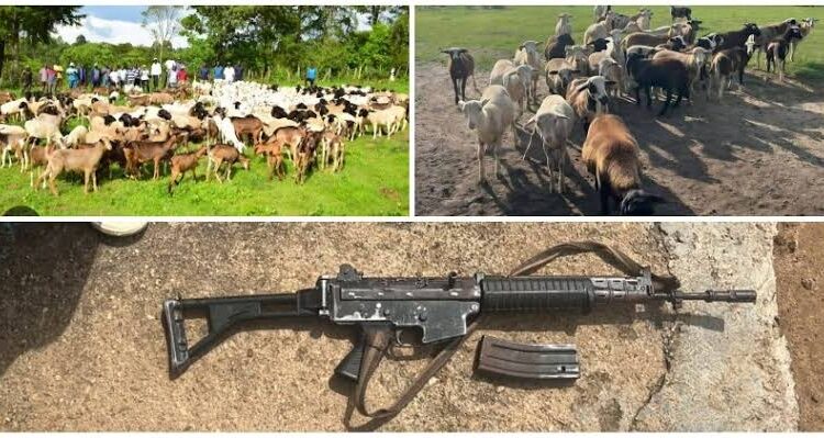 Katsina Banditry: Security Forces Neutralise 18 Bandits, Seize Rifles in Bakori