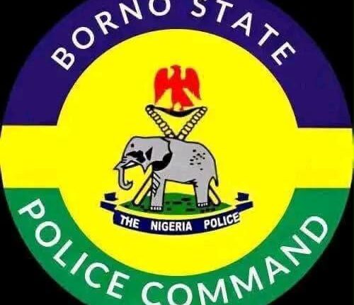Police Explains Arrest, Prosecution of 5 Over Alleged Thuggery in Borno