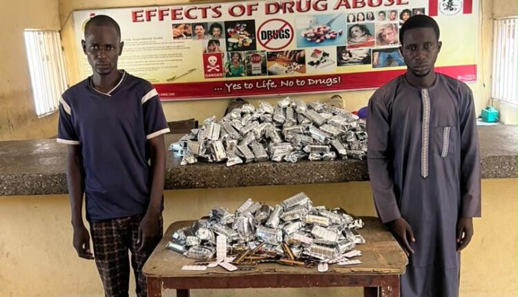 NDLEA Seizes Cannabis Hidden in Palm Oil Keg Bound for Saudi Arabia, Tramadol Worth ₦7bn at Lagos Port