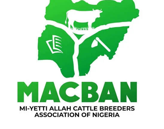 MACBAN urges security agencies to recover 160 cows rustled by Berom Militia in Plateau